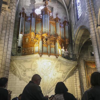 Duo vernet meckler orgue de saint salvi 2024448